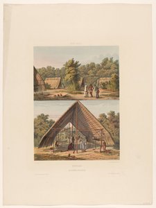Camp of Arawaks
