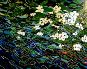 Flowers in Stream by linda arthurs