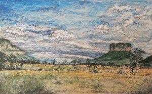 The Great Savannah, Venezuela by miguelmendez_art.ve