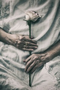 Tender Hands Hold Rose by nima.zadshir