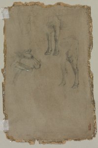 Studies of a Bull (verso)