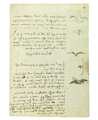 Codex on the Flight of Birds, Folio 15 Recto