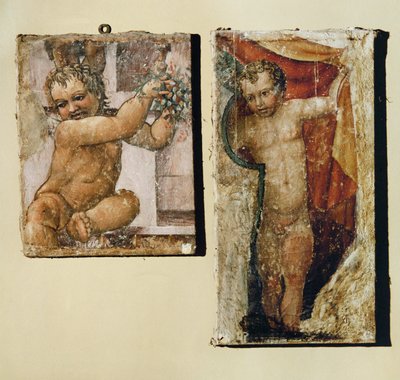 Putto with Flowers, Putto with a Curtain by (1509-66) Daniele da Volterra
