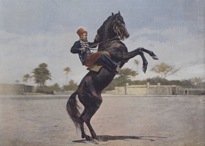 Our Horsemen by (after) French Photographer