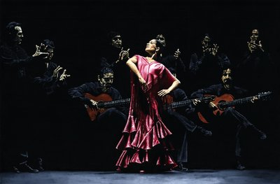 Bailarina Orgullosa del Flamenco by Richard Young