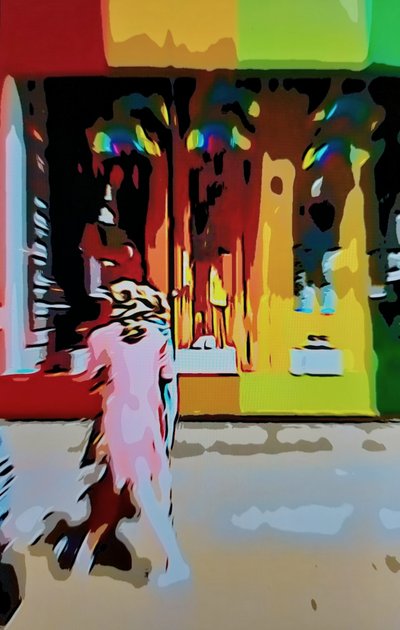 Multicolor Urban by Mavet