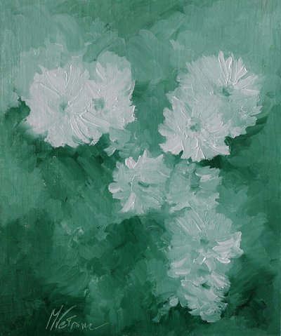 Fiori bianchi by 