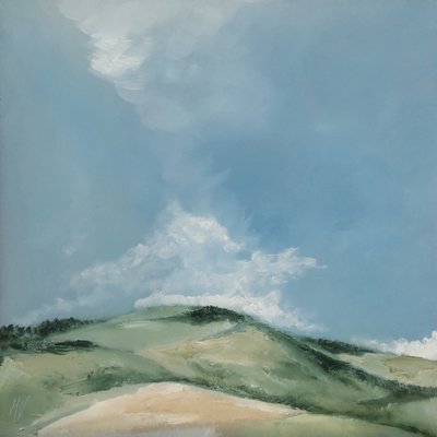 Flat Hill by M. Vet