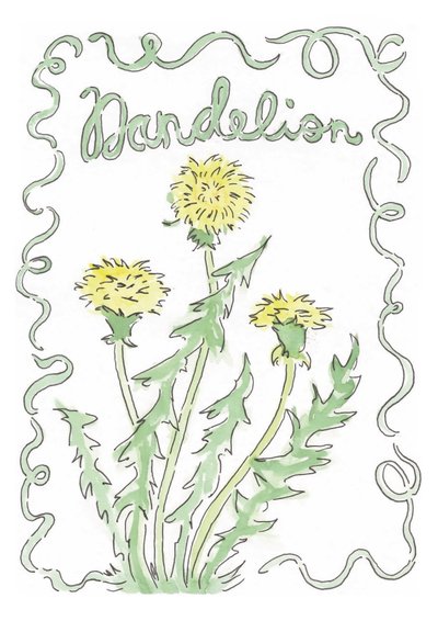 Dandelion by june art