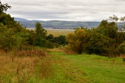 Nature Landscape by Albert Mansour