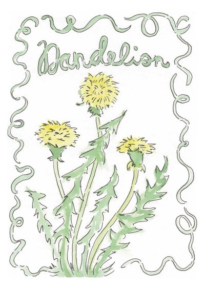 Dandelion by june art