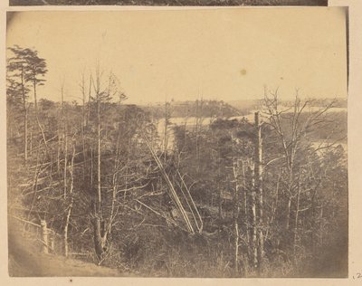 Landscape with Trees and Water by A.J. Russell