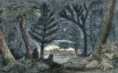 Prehistory: characteristic landscape with swamp and forest by A. Demarle