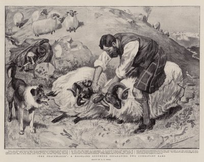 The Peacemaker, a Highland Shepherd Separating Two Combatant Rams by A. G. Small