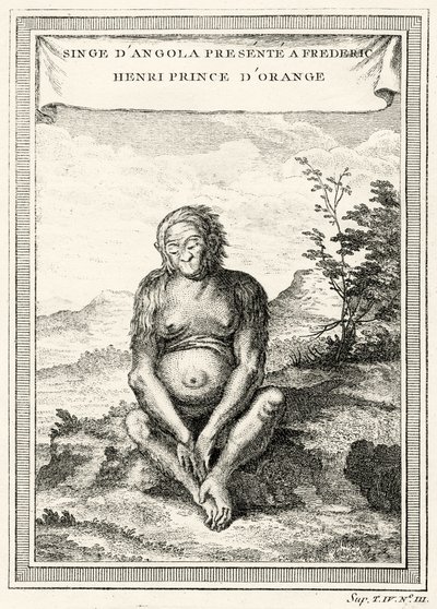 Illustration of the Orang-Outang Presented to Frederick Henry, Prince of Orange by Abbé Prévost