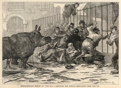 Rescuing the female rhinoceros from the ice by Abbé Prévost