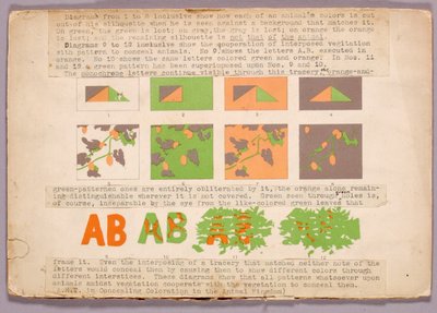 Diagram and Copperhead Snake, Study Folder for Book Concealing Coloration in the Animal Kingdom by Abbott Handerson Thayer