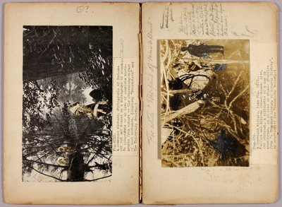 N. American Indians, study folder for book Concealing Coloration in the Animal Kingdom by Abbott Handerson Thayer