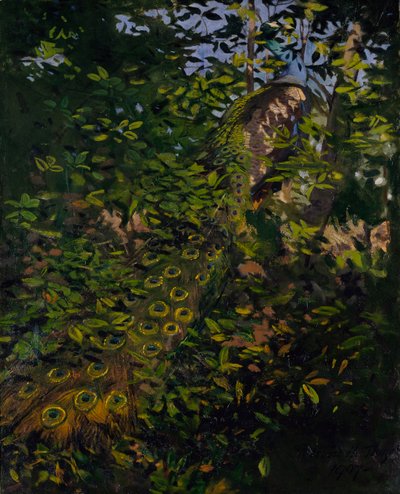 Peacock in the Woods, Study for the Book Concealing Coloration in the Animal Kingdom by Abbott Handerson Thayer
