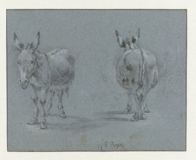 Two Studies of a Donkey, Seen from the Front and Behind by Abraham Jansz Begeyn