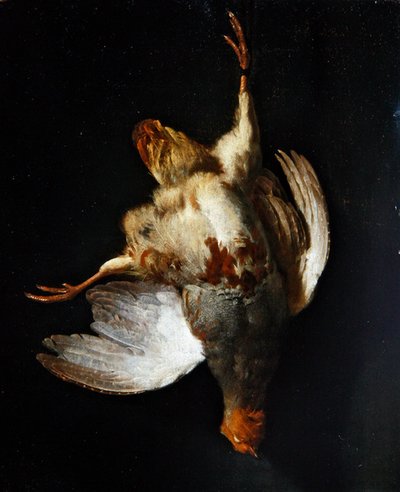 A still life with a partridge hanging from a nail by Abraham van Calraet