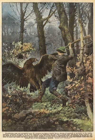 Dramatic Struggle with a Golden Eagle by Achille Beltrame