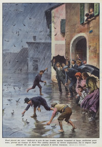 Fish Rained from the Sky! Lifted into the Air by a Waterspout Formed Offshore by Achille Beltrame