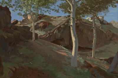 Birch Trees on a Rocky Incline: Fontainebleau by Achille Etna Michallon