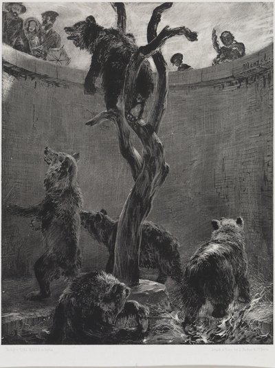 The Bear Pit in the Zoological Garden by Adolph Menzel