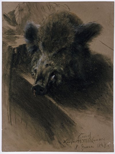 The Head of a Wild Boar in the Electoral Game Chamber in Kassel by Adolph Menzel
