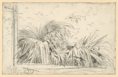 Palm Frond in the Window Frame by Adolph Menzel