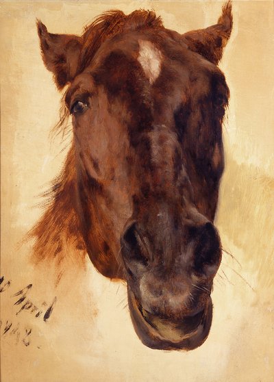 Horse Head by Adolph Menzel