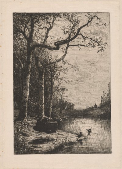 The Marshes of Burbanche by Adolphe Appian