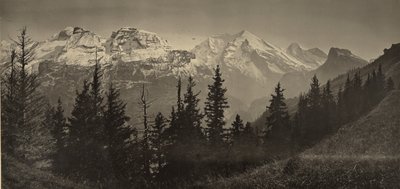 Alpine Landscape by Adolphe Braun