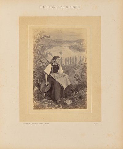 Canton of Schaffhausen by Adolphe Braun