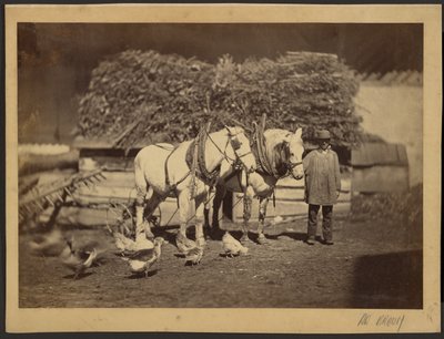 Farmyard Scene by Adolphe Braun