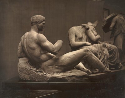 Sculptures from the Parthenon, British Museum, 1870s by Adolphe Braun