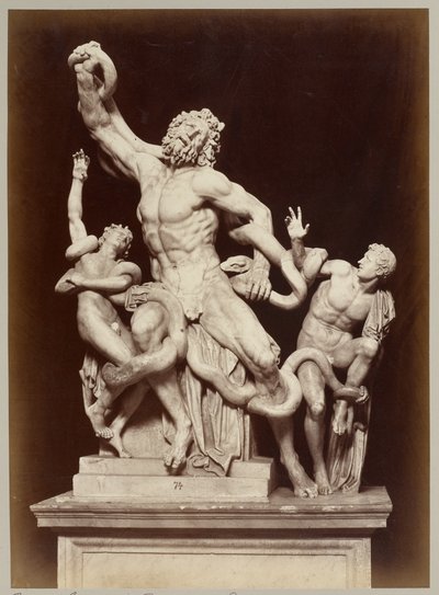 The Laocoon in the Vatican Museum by Adolphe Braun