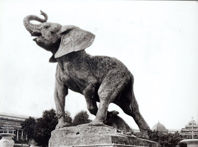 Young Elephant Caught in a Trap, 1878, in front of the Trocadero Palace, Paris, 1888 by Adolphe Giraudon