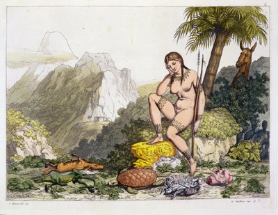 South American Indian Woman, engraved by Gallo Gallina by Adolphe Joseph Thomas Monticelli