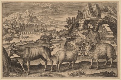 A Goat, a Ewe, and a Ram by Adriaen Collaert