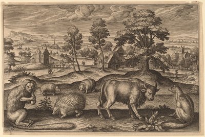 A Monkey, a Porcupine, Two Hedgehogs, a Buffalo and a Fox by Adriaen Collaert