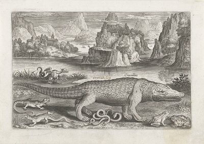 Several Reptiles and Amphibians on a Shore (Piscivm Vivae Icones) by Adriaen Collaert