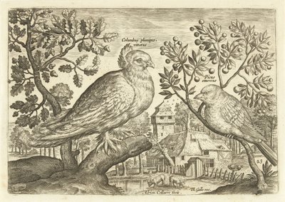 Two Birds in a Landscape (series title: Avivm Vivae, Birds) by Adriaen Collaert