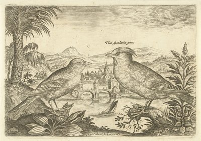 Two birds in a landscape (Birds series title) (Avivm Vivae series title) by Adriaen Collaert