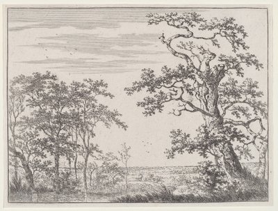 Landscape with a Stream and an Ancient Tree by Adriaen Hendricks Verboom