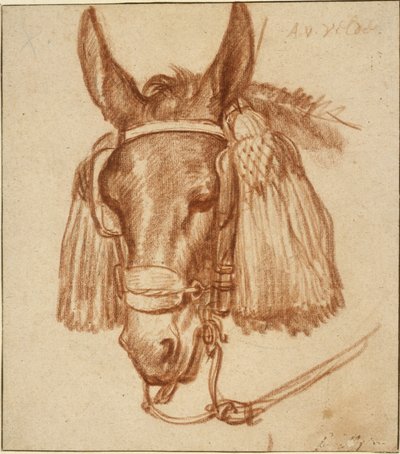 Head of a Donkey with Bridle by Adriaen van de Velde