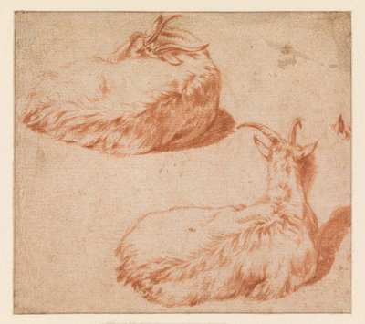 Two Studies of a Reclining Goat, Seen from the Back (Verso). Standing Goat (Counterproof) by Adriaen van de Velde