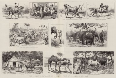 The Great Elephant and Horse Fair at Sonepur, Bengal by Adrien Emmanuel Marie