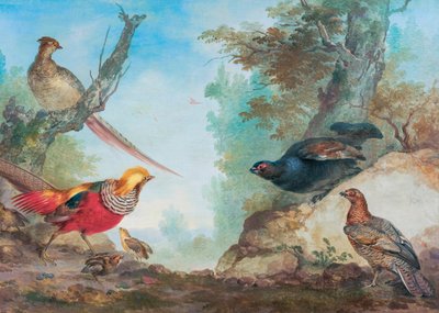 Pheasants by Aert Schouman